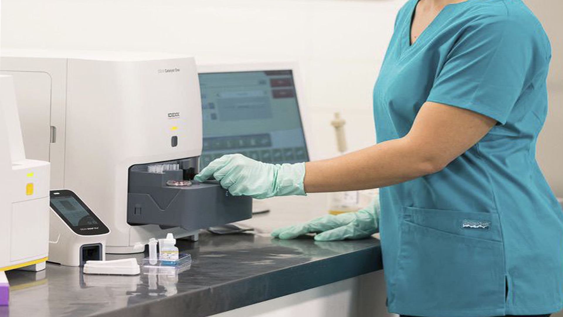 biVet veterinary programı